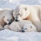 A group of polar bears laying on top of each other. Generative AI image.