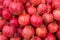 Group of pomegranates. Pomegranate closeup