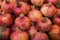 Group of pomegranates. Pomegranate closeup, background