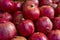 Group of pomegranates. Pomegranate closeup, background pomegranate