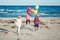 Group portrait of funny white Caucasian children kids with colorful bunch of balloons, playing running on beach on sunset