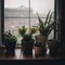 A group of potted plants sit on a window sill. AI generative image.