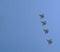 A group of professional pilots of military aircraft in sky.