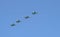 A group of professional pilots of military aircraft in sky.