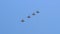 A group of professional pilots of military aircraft in sky.