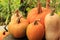 Group of Pumpkins and Butternut Squash