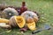 A group of pumpkins and a piece of pumpkin on straw with a cleaver, ceramic bottle and mug in the field. harvest. Colorful