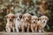 Group of Puppies Sitting Together. Generative AI