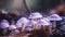 A group of purple mushrooms sitting on top of a forest. AI generative image.