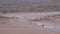 Group on Quad Bike Rides through the Desert in Egypt on backdrop of Mountains. Driving ATVs.