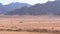 Group on Quad Bike Rides through the Desert in Egypt on backdrop of Mountains. Driving ATVs.