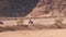 Group on Quad Bike Rides through the Desert in Egypt on backdrop of Mountains. Driving ATVs.