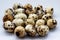 Group of quail eggs on a white background. A lot of spotted eggs on a light background, close-up