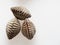 A group of raw cockle, ark shell, shot high angle view isolated on white background