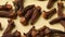 Group of raw dried cloves close up