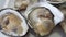Group of Raw Fresh close up giant open oysters in a Shell serving on the white plate, Freshness seafood from fishery boat at fresh