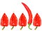 Group of red fresh pepper