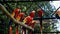 Group of Red-and-green macaw parrots Ara chloropterus sitting on branches in large pavilion and socializing themselves