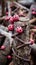 a group of red ladybugs sitting on a tree stump