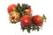 Group of red pomegranates mignon of beauty dwarf plant