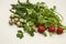 Group of red round radish with  quail eggs near spring cilantro and dill on white background