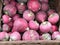 Group of red turnips in a brown basket