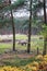 Group of rhinos grazing on the meadow in the zoo