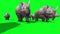 Group of rhinos runs front green screen 3D Renderings Animations Animals