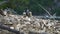 A group of riders on horseback walks along the sandy shore of a mountain lake.