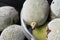 Group of ripe raw green feijoas in bowl. Frozen