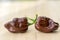 Group of ripened capsicum chinenses very hot peppers on wooden table, Habanero chocolate