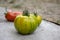 Group of ripened tomatoes in two boxes, red and green fruits after harvest, ready to eat, pepper and green zebra tomatoes