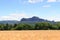 Group of rocks Schrammsteine and Falkenstein with grain field in Saxon Switzerland