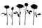 Group of roses on stem black silhouette