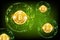 Group of round spheres with binary code and golden bit coin in the center. Business green background