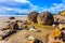 The group of round stone boulders Moeraki