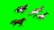 Group running horse - top view - green screen