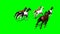 Group running horse - view from behind - green screen