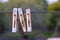 group of rusted iron clothing clips used for drying up of clothes