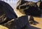 Group of rustic black stones and reflections of pilings in the background