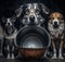 Group of sad hungry mongrel dogs with an empty bowl created with Generative AI