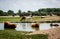 Group of safari animals grazing near a pond in Ohio