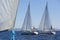 Group of sail yachts in regatta near a coast. Sport.