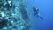 Group of scuba divers ascending on water surface in Egypt