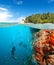 Group of scuba divers exploring coral reef