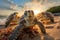 A group of sea turtles basking on a sandy beach.