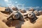 group of sea turtles hatching on sandy beach