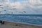 Group of seagulls looking for food flying over the ocean and beaches