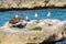 A group of Seagulls and a Pelican on a big rock in a caribbean sea lagoon.