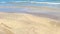 A group of seagulls relaxing along the shorline of Padre Island NS, Texas